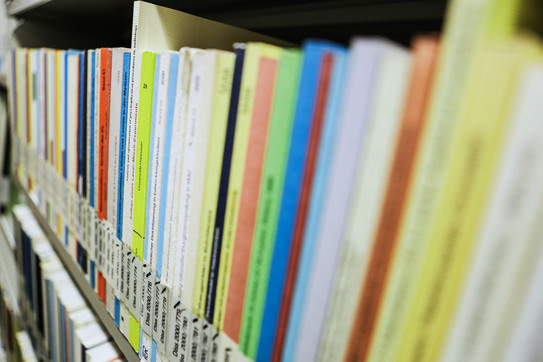 Bücher mit der Aufschrift Dissertation auf dem Buchrücken im Bücherregal der Bibliothek